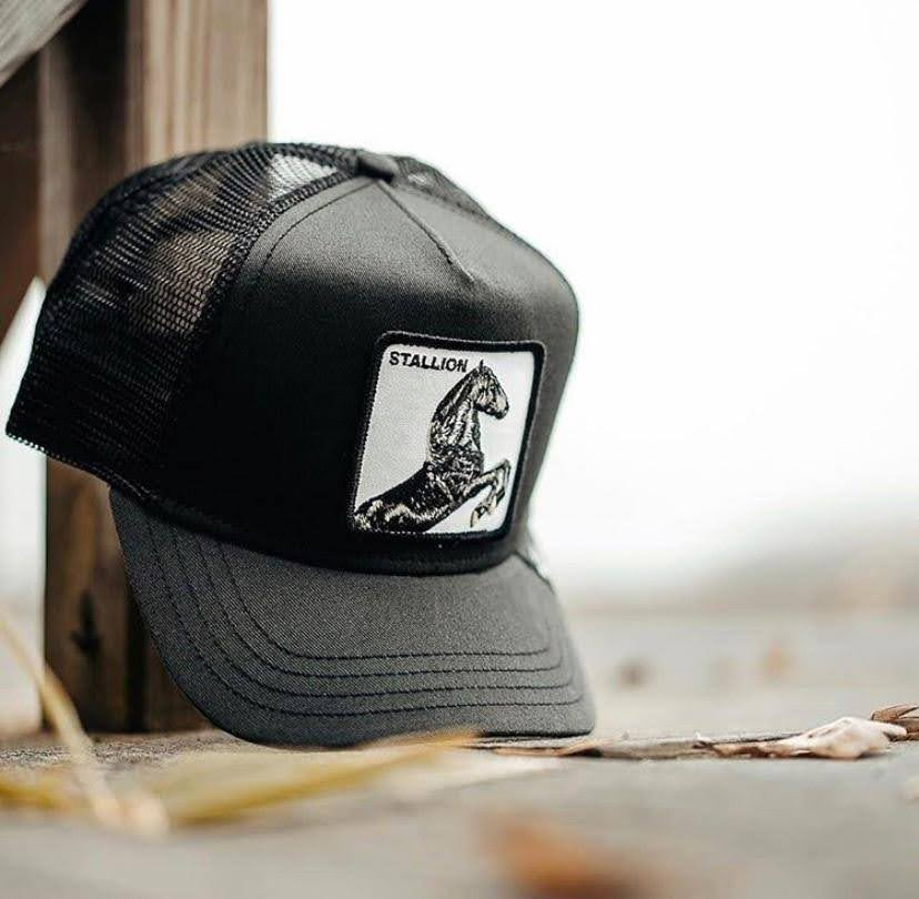 animal hat hayvan desenli figürlü şapka